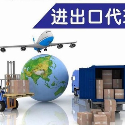 阿聯(lián)酋清關(guān)與報(bào)關(guān) 專業(yè)進(jìn)出口代理的關(guān)鍵角色